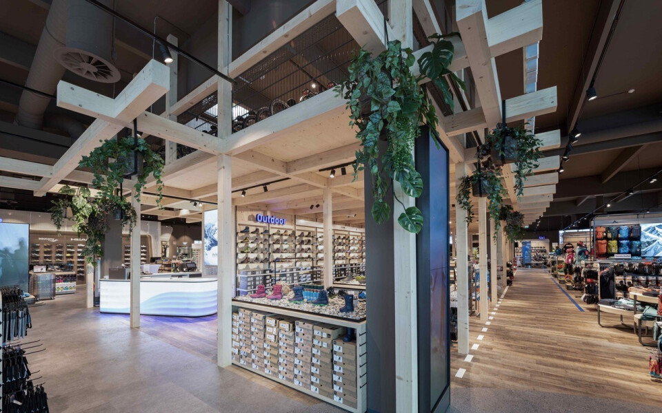 Modernes Schuhgeschäft-Interieur mit Holzbalken, grünen Hängepflanzen und umfangreichen Schuhdisplays.